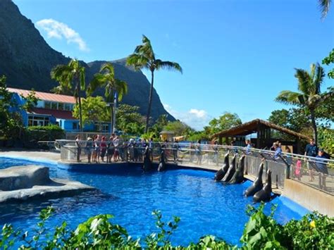 Sea Life Park General Admission And Chiefs Luau Combo Hawaii Discount