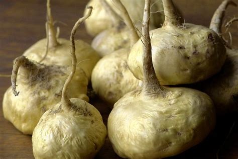 Maca Can A Root Boost Energy And Sex Drive Wsj