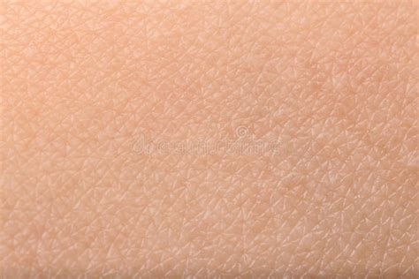 Texture Of Human Skin Closeup Stock Photo Image Of Skin Caucasian