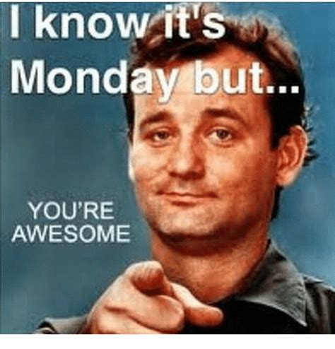 I Know Its Monday But Youre Awesome Meme On Meme