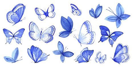 Colorful Butterflies White Background Stock Illustrations