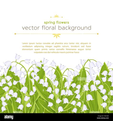 Seamless Border With Spring Flowers Lily Of The Valley Floral Banner