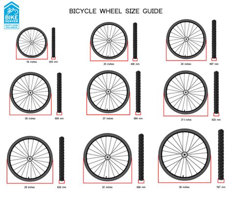 Bike Wheel Size Chart For Height And Age The Complete Guide