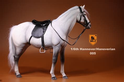German Hanoverian Warmblood Horse White