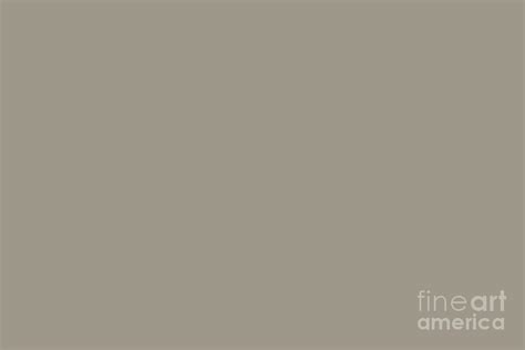Greige Grey Solid Color 2022 Popular Color Ppg Gray By Me Ppg1008 4