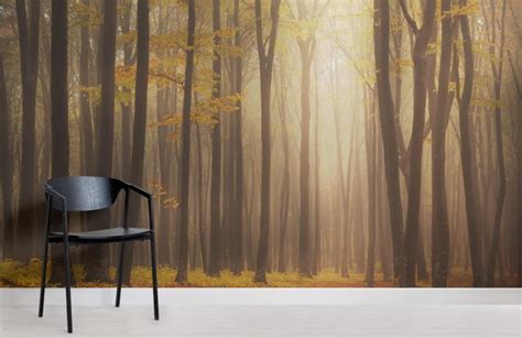 Golden Mist Forest Wallpaper Mural Hovia Uk Forest Wallpaper