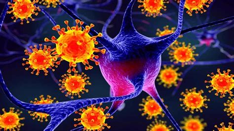 Pengertian, ciri, jenis dan contoh, semoga dengan adanya artikel ini bisa bermanfaat dan lebih. Berikut Yang Bukan Merupakan Ciri Ciri Dari Virus Adalah ...
