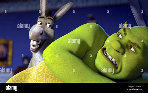 Shrek The Third Aka Shrek 3 Donkey Voice Eddie Murphy Shrek