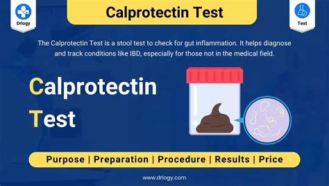 Calprotectin Test Meaning Price Procedure And Results Drlogy