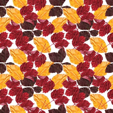 Bright Colorful Autumn Leaves Seamles Pattern Stock Illustration