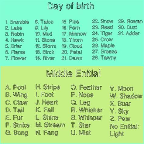 If his birthday and you still don't have name, just generate one boy name and go with it. Warrior cat name generator! This is mine because I came up ...