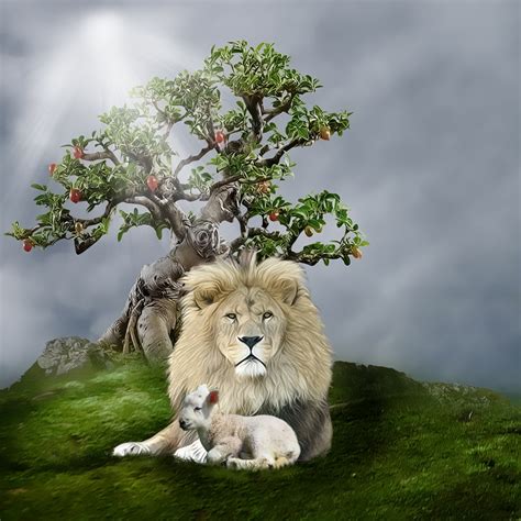That means we are not affiliated with any particular church he combines the image of the lamb and lion to express the full meaning of jesus as messiah. 47+ Lion and Lamb Wallpaper on WallpaperSafari