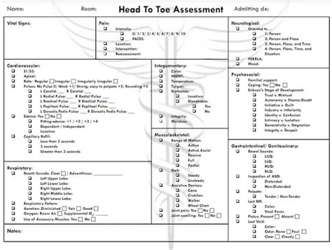 Stationery Printable Patient Assessment Template For Nursing Students