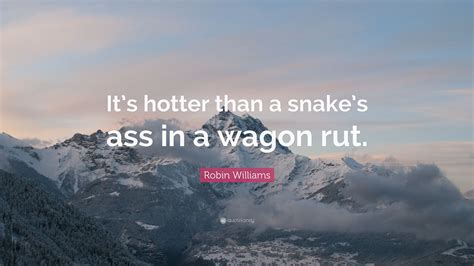 Robin Williams Quote Its Hotter Than A Snakes Ass In A