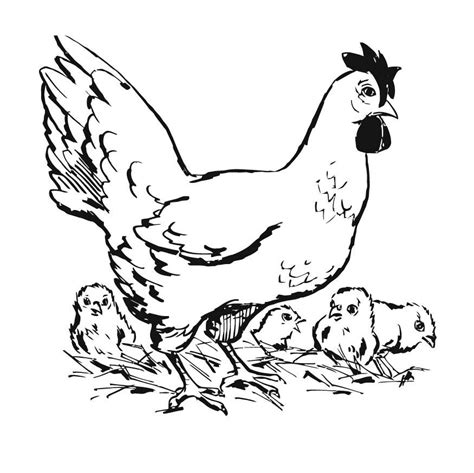 Il paese (reale e virtuale) si sta colorando d'arcobaleno con i disegni realizzati dai bambini e. Disegno da colorare gallina con pulcini - Cat. 15746.