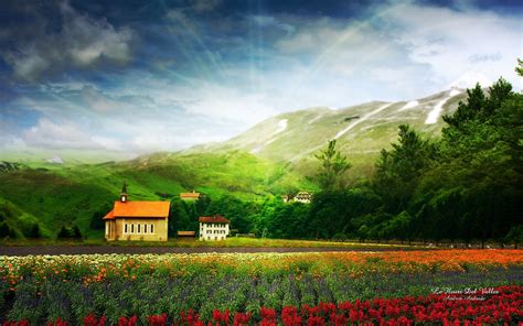 Free Download Landscape Wallpaper Wallpapers Nature Wallpapers Flower