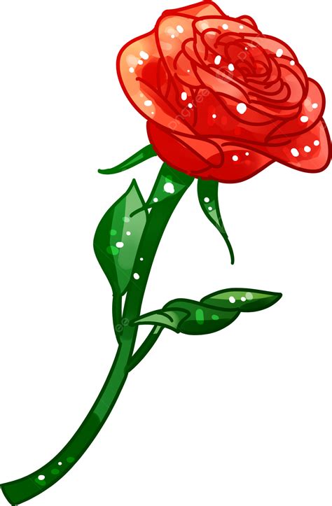 รูปองค์ประกอบของดอกกุหลาบสีแดงสามารถใช้ได้ในเชิงพาณิชย์ Png ดอกกุหลาบ