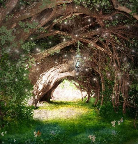 A Faerie Glade Forest Fairy Enchanted Forest Fantasy