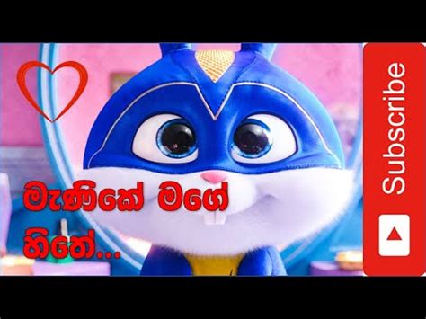 For download mage manika song as your ringin tone. Manike Mage Hithe Snowbll Version Download Video | Baixar ...