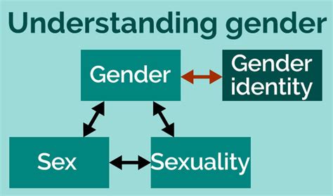 Gender In So Many Words Who We Are Newcastle University