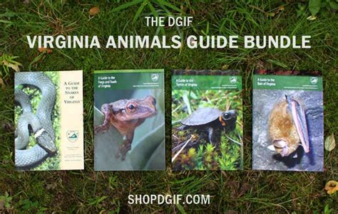 Get the inside scoop on jobs, salaries, top office there's a lot of work outside and in remote rivers. Virginia Department of Game and Inland Fisheries