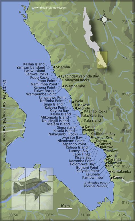 Lake tanganyika is situated on the line dividing the floral regions of eastern and western africa, and oil palms, which are characteristic of the flora of western africa, grow along the lake's shores. African Diving Blog