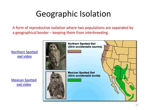 PPT - Population Evolution PowerPoint Presentation, free ...