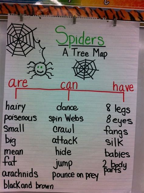 Mrs Petites Teaching Passion Eeek Spiders Spider Lessons