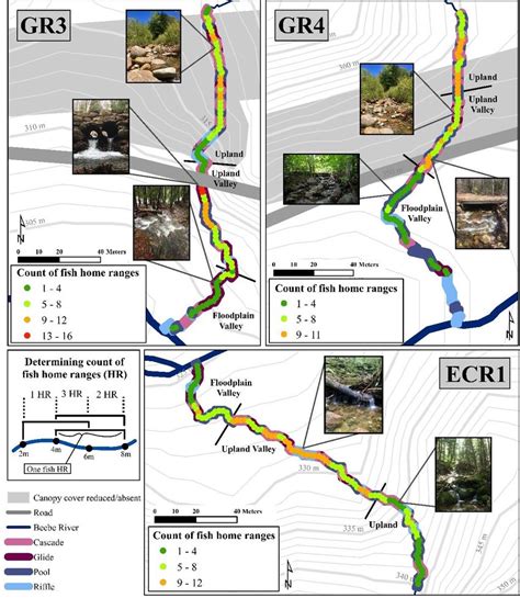 4 Brook Trout Home Range Density And Habitat Types In Focal