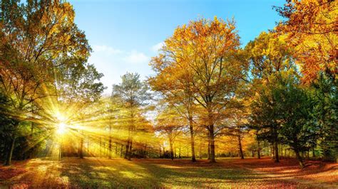 Autumn Equinox The Science Behind The First Day Of Fall Fall Foliage Fall Autumnal Equinox