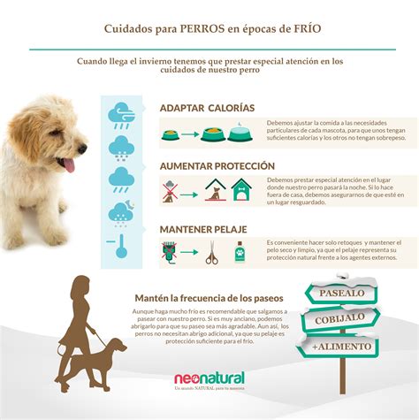 Lista 104 Foto Como Hacer Un Cartel Sobre El Cuidado De Los Animales