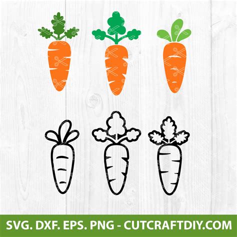 Easter Carrot SVG Bundle | Easter SVG | Carrot SVG | PNG | DXF | EPS