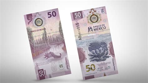 Cuáles son los elementos de seguridad del nuevo billete de pesos que se cotiza en más de