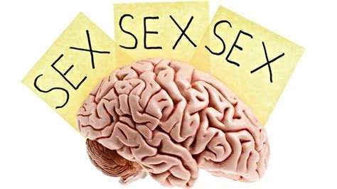 Cómo afecta la pornografía a nuestro cerebro La Nueva España