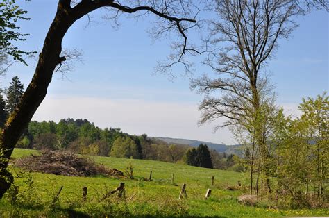 Sie steht gemeinsam mit ihrem garten als kulturdenkmal unter denkmalschutz. Hengstweide (N 5) • Wanderung » Solling-Vogler Destination