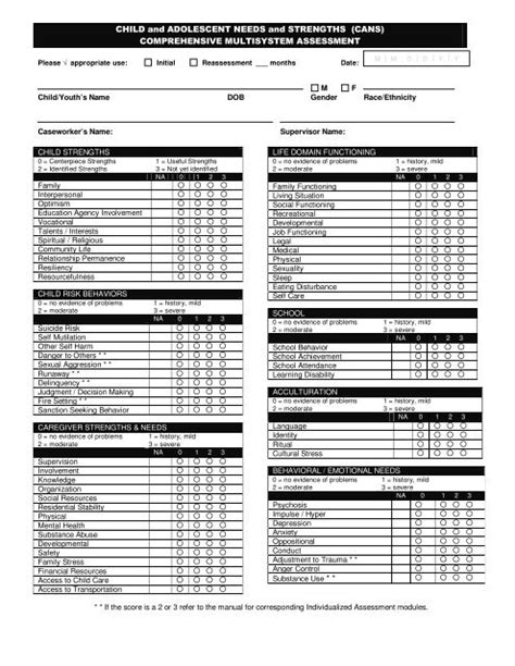 Cans Assessment Score Sheet