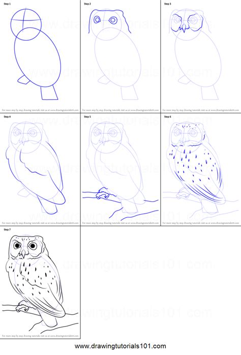 How To Draw A Western Screech Owl Printable Step By Step Drawing Sheet