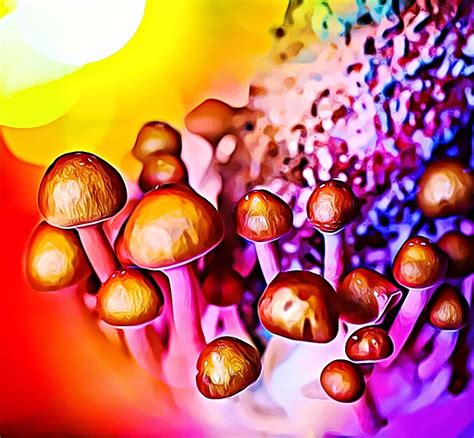 50 Best Ideas For Coloring Psychedelic Mushrooms Types