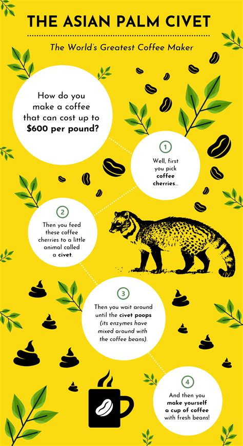 Interesting Facts About Animals - Venngage