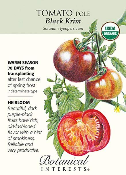 Tomatoes are in the nightshade family along with peppers and eggplant. black krim+tomato + seedling - Google Search | Tomato ...