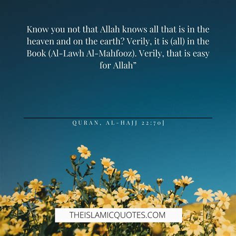 7 Quotes That Prove Allah Is The Best Planner Of All Affairs