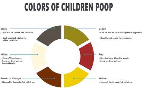 Healthy Poop Color Chart