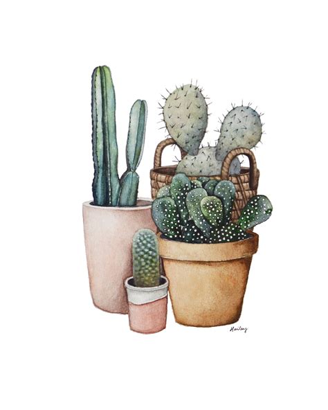 Cactus Print Cactus Painting Desert Artwork Watercolor Cacti