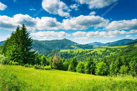 Meadow In Mountains Stock Photo By ©pellinni 24018825