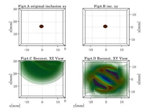 Original Inclusion In Fig4a X Z View And Fig4b X Y View And