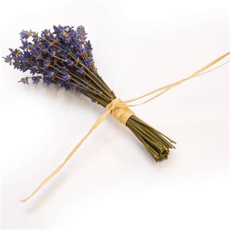 10 Mini Lavender Bundle By Shropshire Petals