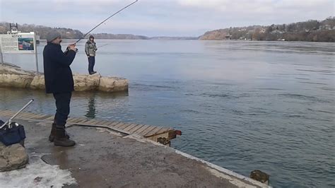 Fishing niagara river February 12th 2020 for trout ( 1 of 4 caught