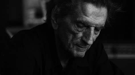 Review Enigma Of Harry In Harry Dean Stanton Partly Fiction