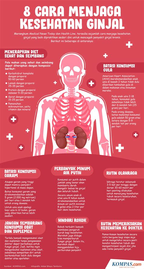 Infografik 8 Cara Menjaga Kesehatan Ginjal