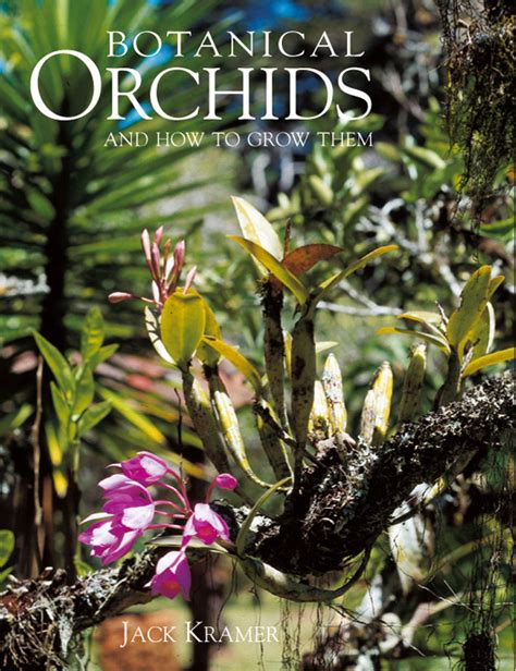 Botanical Orchids And How To Grow Them Acc Art Books Us